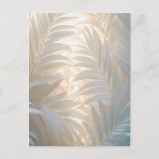 Carte Postale Soft gold of white tropics, pastel palm leaves