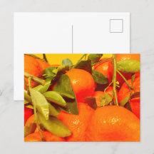 Soft Orange Fruit Aesthétique