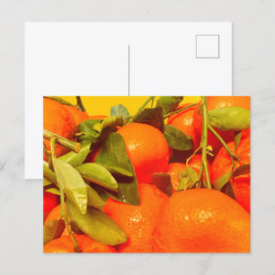 Carte Postale Soft Orange Fruit Aesthétique
