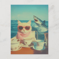 Soirée de thé à l'océan de chats