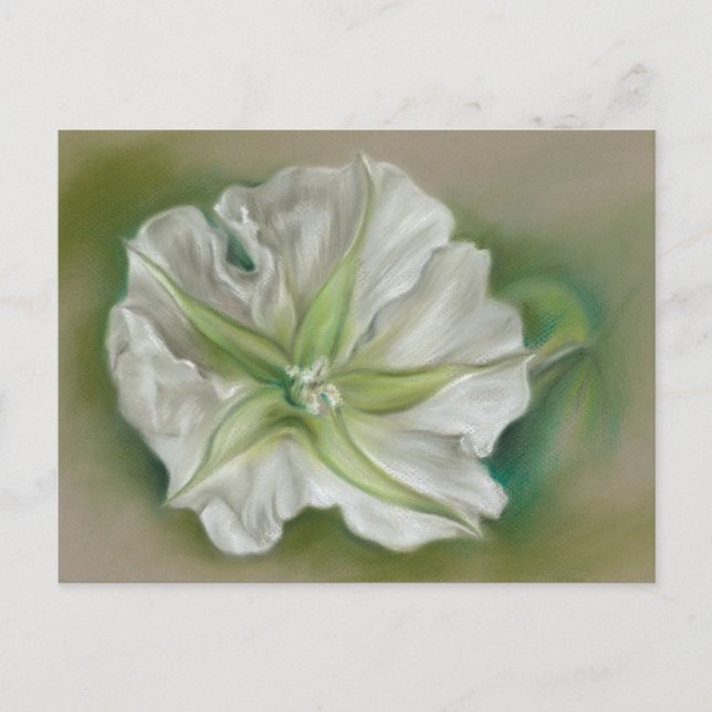 Carte Postale Soirée Moonflower Pastel Art (Devant)