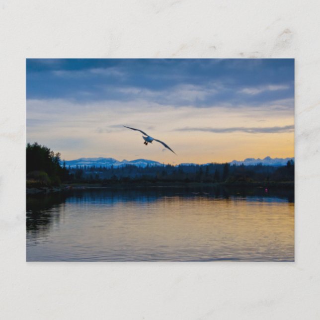 Carte Postale Soirée Paisible (Devant)