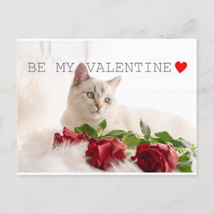 Carte Postale Sois ma Saint Valentin