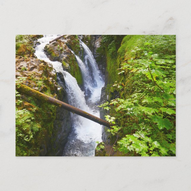 Carte Postale Sol Duc Falls I au Parc National Olympique (Devant)