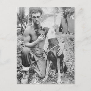 Carte Postale Soldat et chien