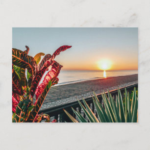 Carte Postale Soleil