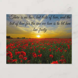 Carte Postale soleil