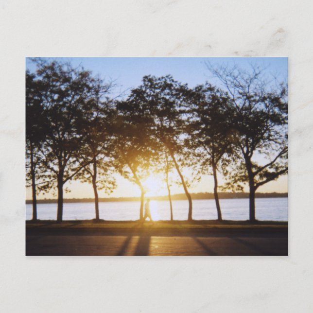 Carte Postale Soleil (Devant)
