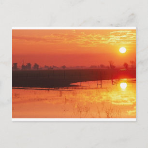 Carte Postale Soleil