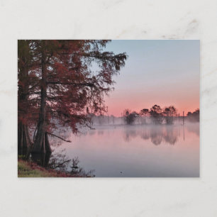 Carte Postale Soleil de Bayou