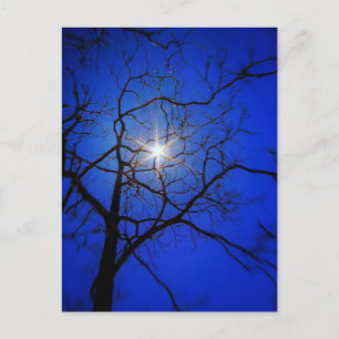 Carte Postale Soleil de minuit