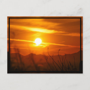 Carte Postale Soleil désert