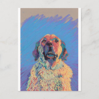 Carte Postale Soleil d'été