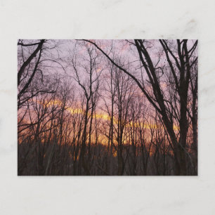 Carte Postale Soleil d'hiver II