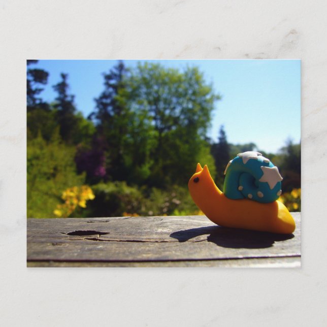 Carte Postale Soleil du soir (Devant)