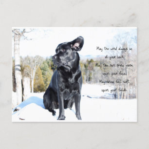 Carte Postale Soleil et vent - Devis de chien - Black Labrador