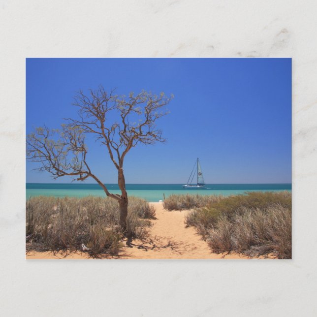 Carte Postale Soleil, Mer, Sable - Singe Mia Ouest Australie (Devant)