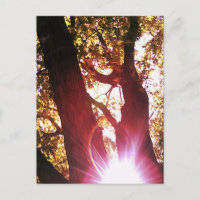 Soleil rouge
