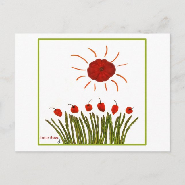 Carte Postale Soleil tomate (Devant)