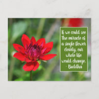 Solitaire Rouge Dahlia Fleur Wisley Motivation