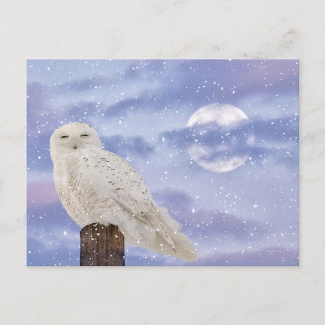 Carte Postale Solstice d'hiver (Devant)