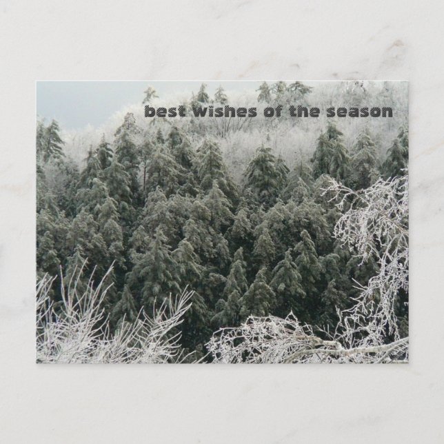 Carte Postale Solstice d'hiver (Devant)
