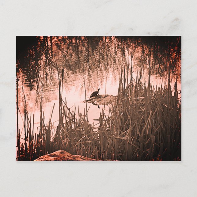 Carte Postale Solstice d'hiver (Devant)
