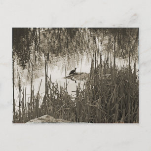 Carte Postale Solstice d'hiver