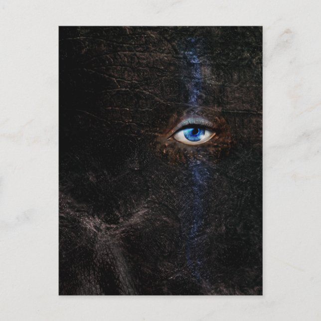 Carte postale sombre (Devant)