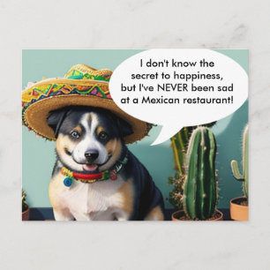 Carte Postale sombrero perro mème