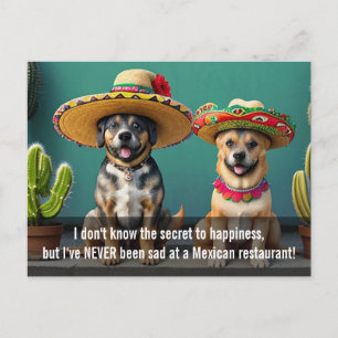 Carte Postale sombreros perros mème