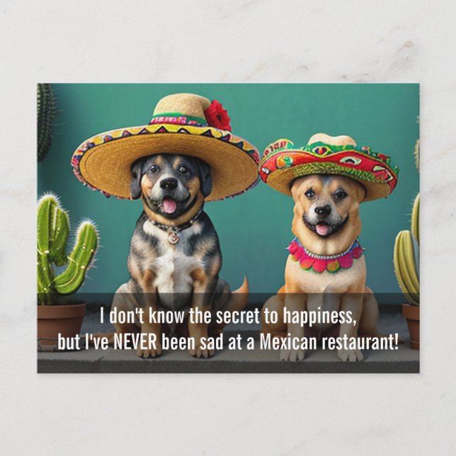 Carte Postale sombreros perros mème (Devant)