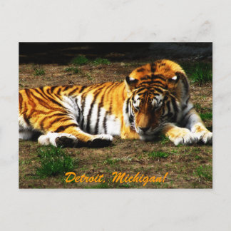 Carte Postale Sommeil