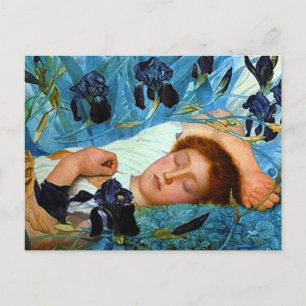 Carte Postale Sommeil dans les Irises