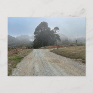 Carte Postale Sommes-nous perdus encore
