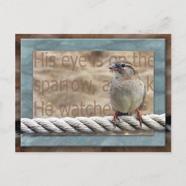 Carte Postale Son oeil est sur le Bruant (Devant)