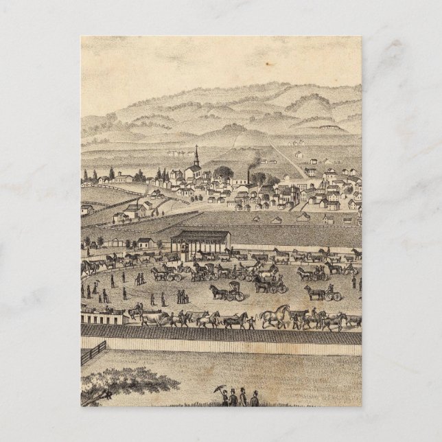 Carte Postale Sonoma et Marin District Agricultural Society (Devant)