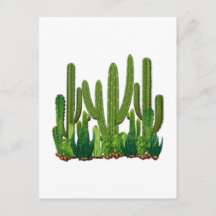 Carte Postale Sonoran Habitat