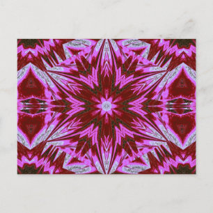 CARTE POSTALE SOPHORNITELLA 48
