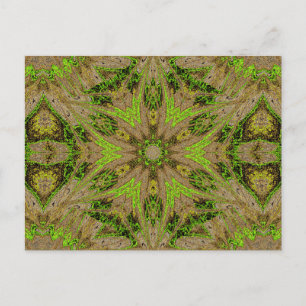 CARTE POSTALE SOPHORNITELLA 92