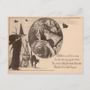 Carte Postale Sorcière Chat Noir Citrouille de Jack O' Lantern F