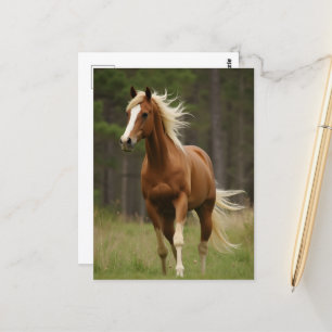 Carte Postale Sorrel avec Flaxen Mane et Queue