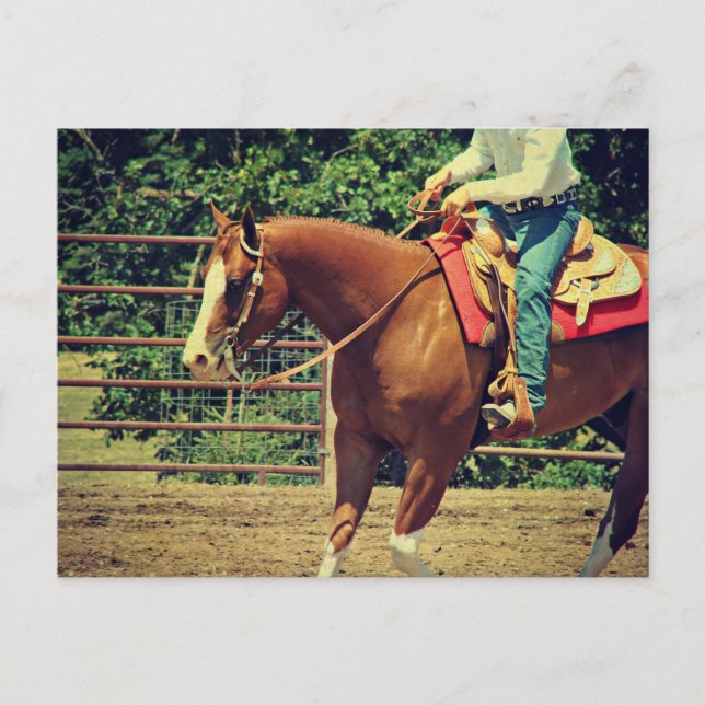 Carte Postale Sorrel Ouest (Devant)