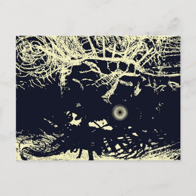 Carte Postale Sortir du soleil (Devant)