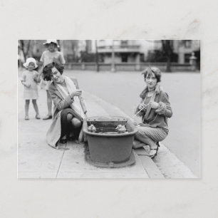 Carte Postale Sortir Les Canards Pour Nager