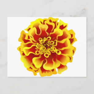 Carte Postale Soucis