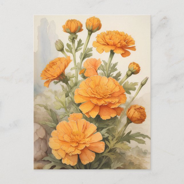 Carte Postale Soude (Devant)