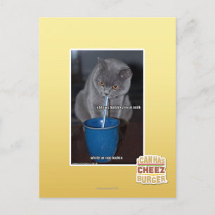 Carte Postale Souffle des bulles dans notre lait