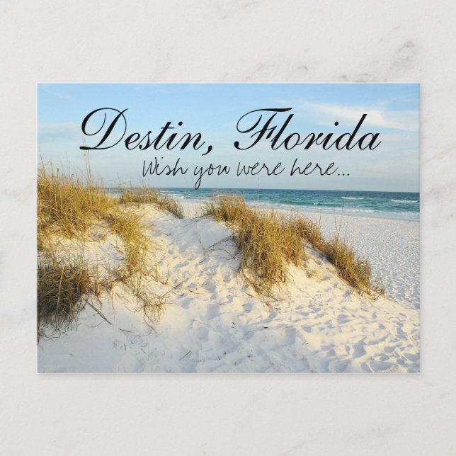 Carte Postale Souhaitez-vous être ici - Destin, Floride (Devant)
