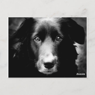 Carte Postale Soul Eyes